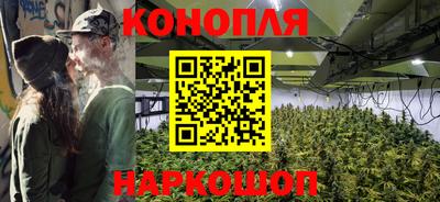 трава Партизанск