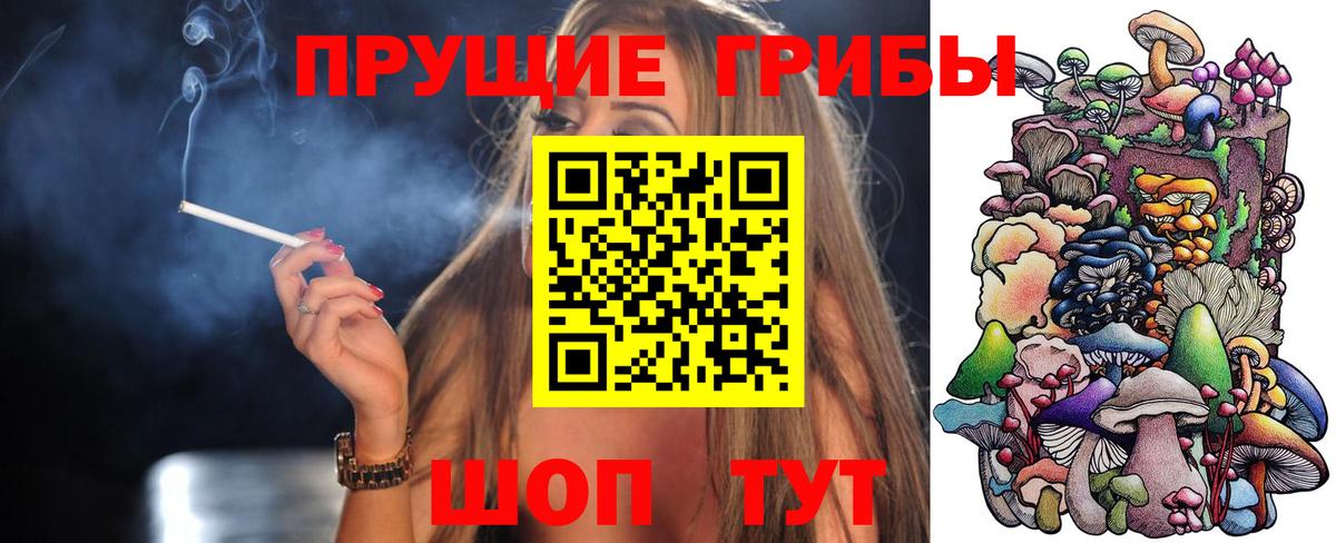 Псилоцибиновые грибы Psilocybe  Вход с VPN  Симферополь  Псилоцибиновые грибы мицелий 