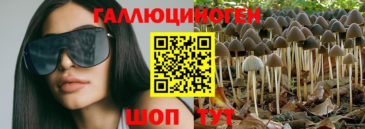 Галлюциногенные грибы MAGIC MUSHROOMS Симферополь