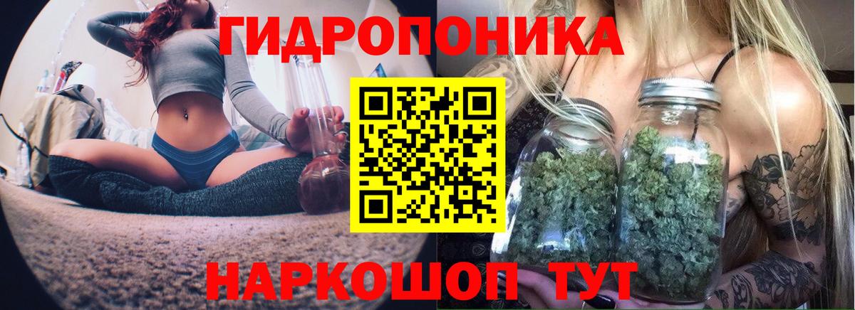 Бошки марихуана VHQ  Канабис THC 21%  Симферополь  Бошки Шишки план  Вход с VPN 